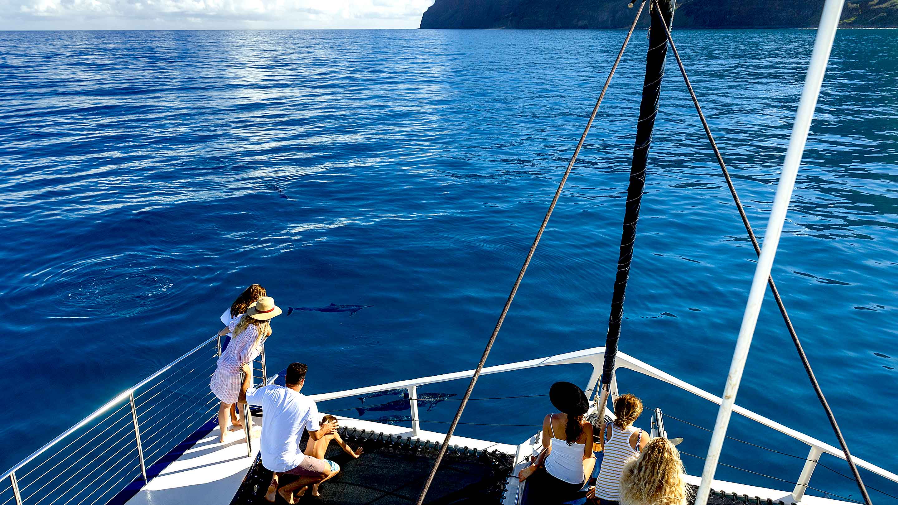 Na Pali Sailing Picnic on a Luxury Catamaran
